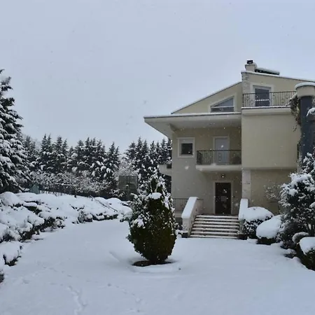 Kthma Tzhka - Villa Elassona 别墅 *