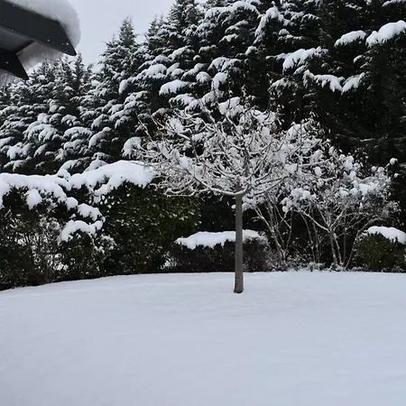 In Elassona-βίλα στην * Elassona