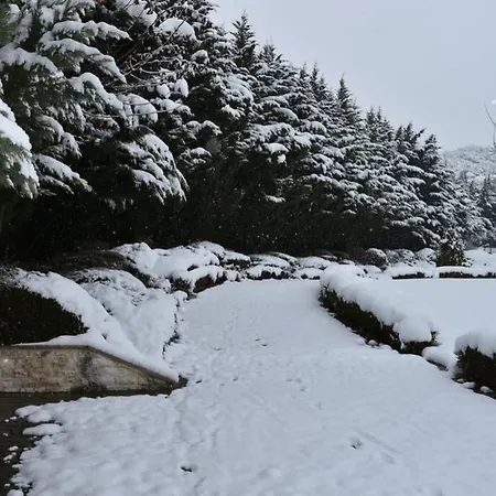 Βίλα In Elassona-βίλα στην *