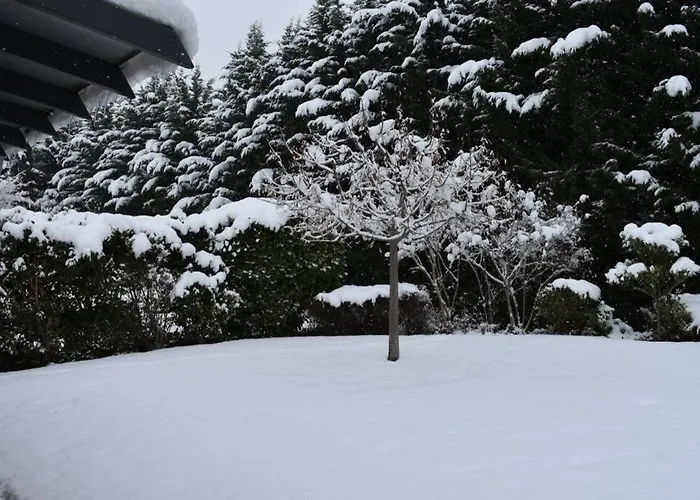 Kthma Tzhka - * Elassona