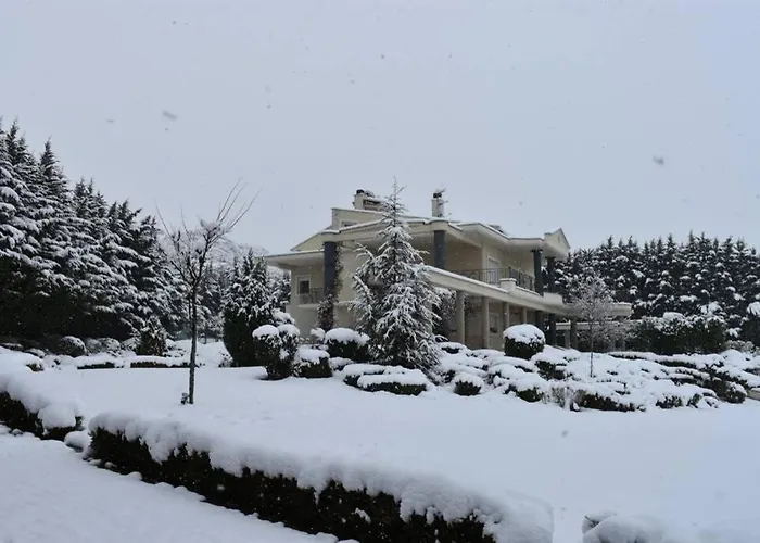 Kthma Tzhka - * Elassona