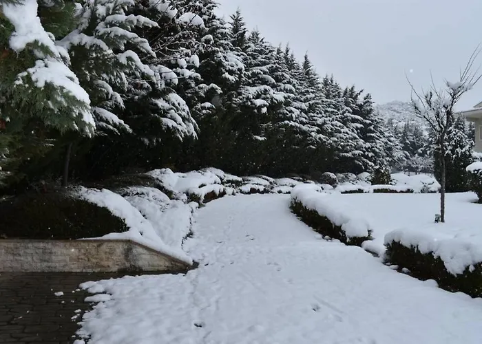 빌라 Kthma Tzhka - *